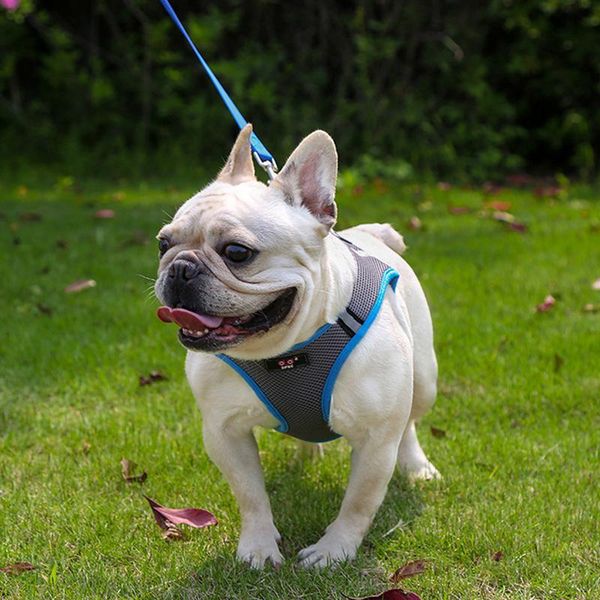 

dog collars & leashes reflective nylon pet harness chest breathable dogs padded vests adjustable strap safety lead all weathers