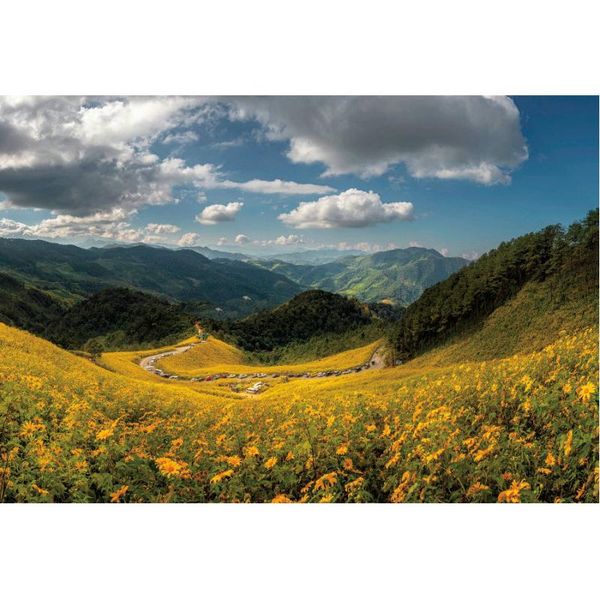 

party decoration sky couds mountains backdrop wedding flower sea pography background studio props family holiday po booth