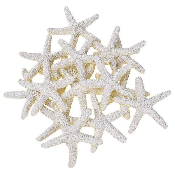 

pieces creamy-white pencil finger starfish for wedding decor, home decor and craft project novelty items