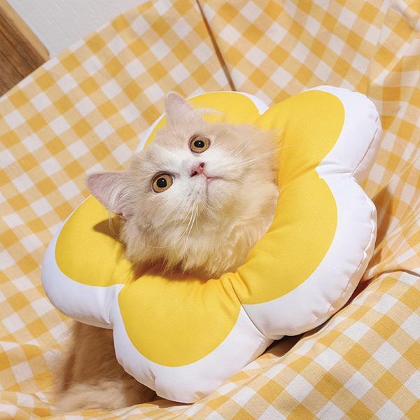 

cat collars & leads elizabeth circle adjustable pet neck collar wound healing protection recovery anti licking strap cover