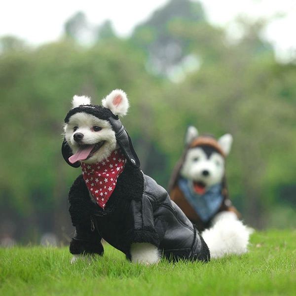 

dog apparel clothes warm accessories leather velvet outfits dogs thickened coat with zipper drop.88