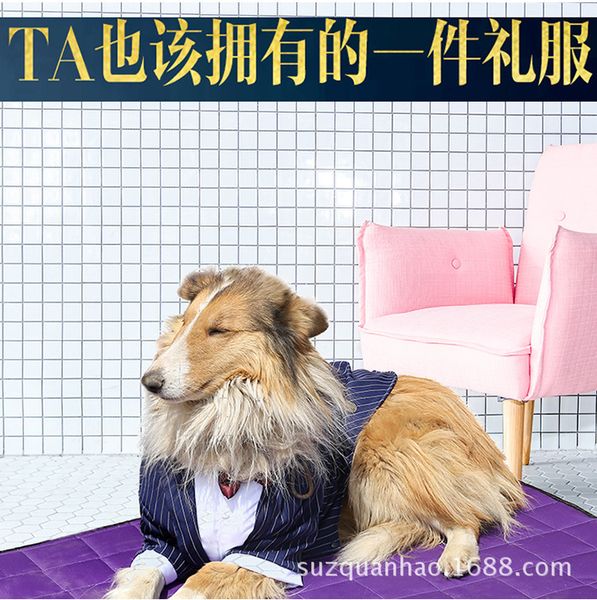 

large dog clothing large stripe bow tie suit golden hair husky pet products
