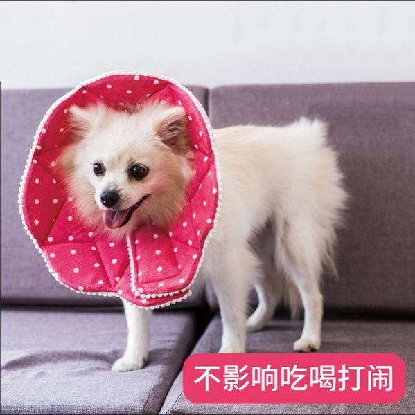 

cat collars & leads dog elizabethan collar for cats headgear anti-scratch biting licking neck cone recovery protective wound healing