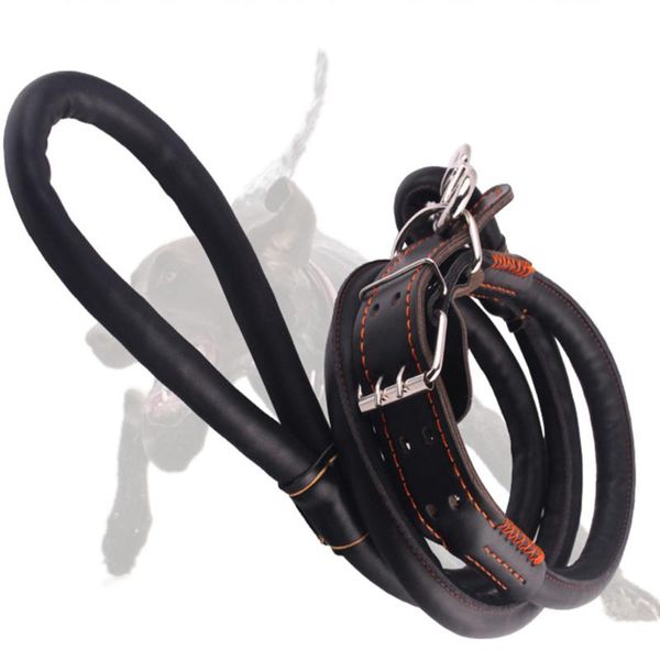 

dog accessories for large dogs harness leash collar outdoors pet training running big rope honden halsband collars & leashes