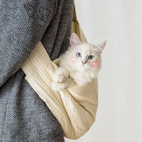 

dog car seat covers portable pet cat and bag small outdoor backpack shoulder messenger supplies accessories