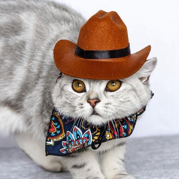 

cat costumes halloween decoration christmas po prop pet products dog hat cowboy costume supplies