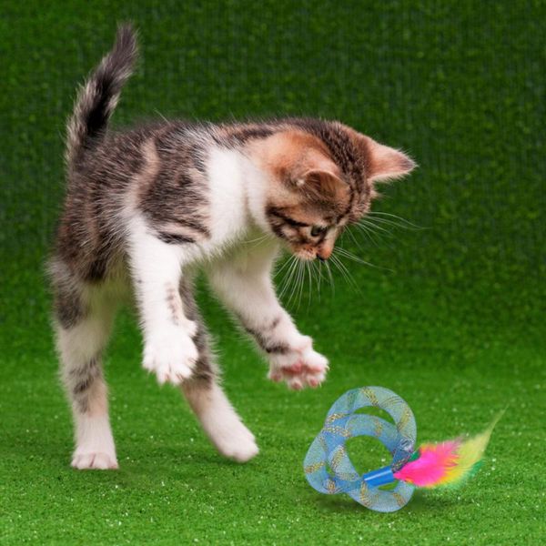

cat toys 1pcs cute spring feather springs toy interactive playing for kitten pet accessories