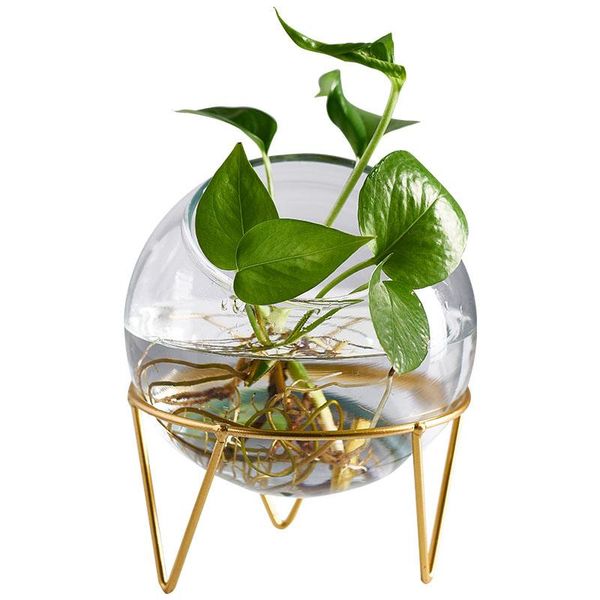 

vases home decoration garden supplier micro landscape vase planter round glass hydroponics with metal shelf desk ornaments