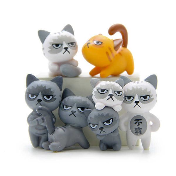 

6 kinds of japanese cute cats in groceries