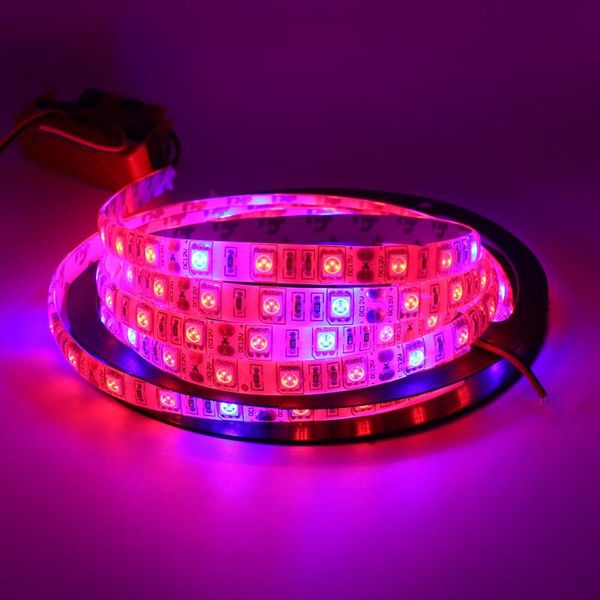

grow lights dc12v growing led strip ip20 ip65 plant growth light for greenhouse hydroponic 5m/lot strips