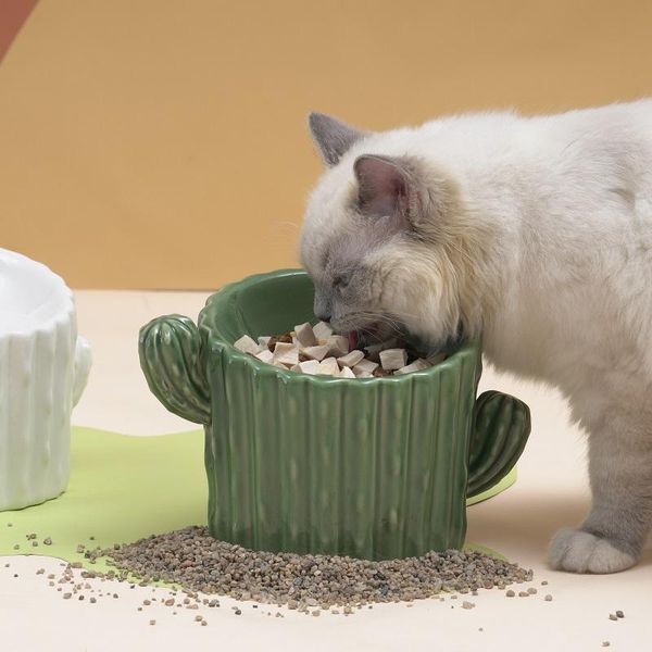

cat bowls & feeders bowl dog pet feeding water puppy feeder