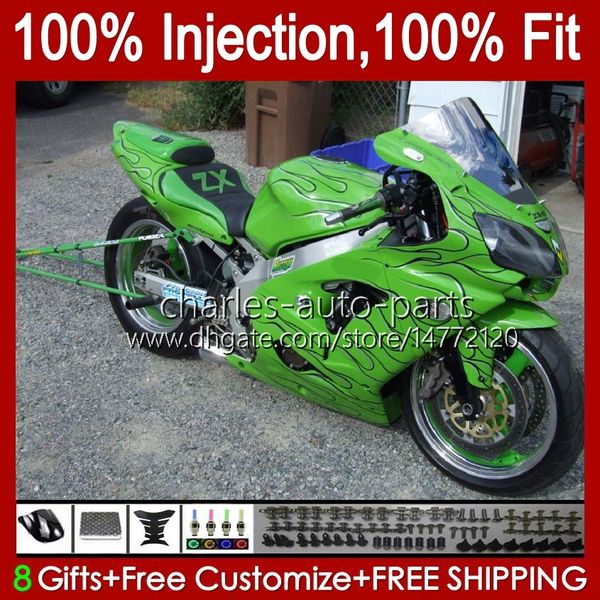 Corpi per stampi ad iniezione per KAWASAKI NINJA ZX-12R ZX1200 C ZX 12 R 1200 CC ZX12R 00 01 Carrozzeria 2No.44 ZX 1200 12R 1200CC 00-01 ZX1200C 2000 2001 Kit carenatura OEM fiamme verdi