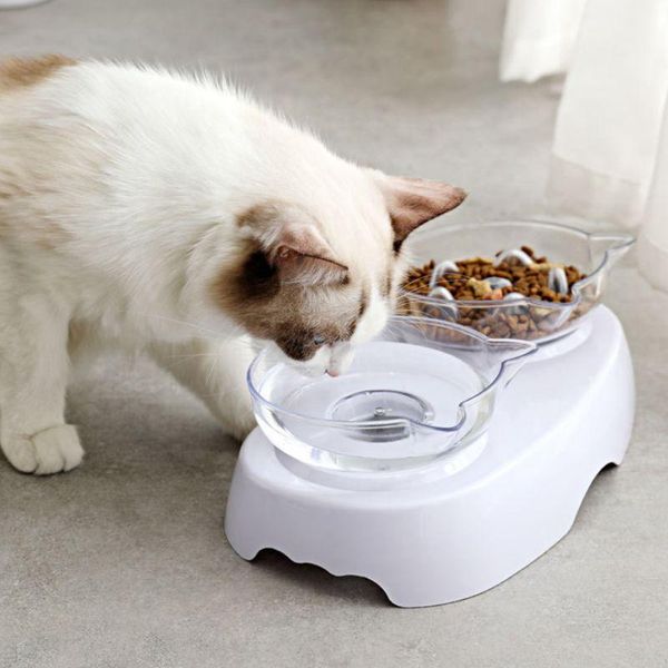 

non-slip cat bowl double bowls transparent pet neck protection feeder dog water supplies c42 & feeders