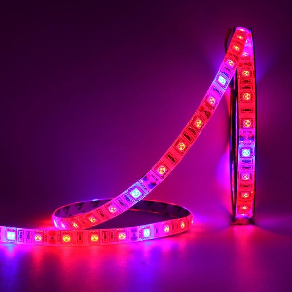 

strips 5m led phyto lamps full spectrum strip light 300 leds chip fitolampy grow lights for greenhouse hydroponic plant
