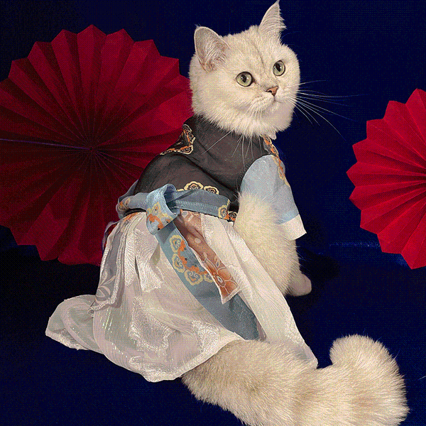 

cat costumes pet dog chinese style hanfu skirt dress clothes