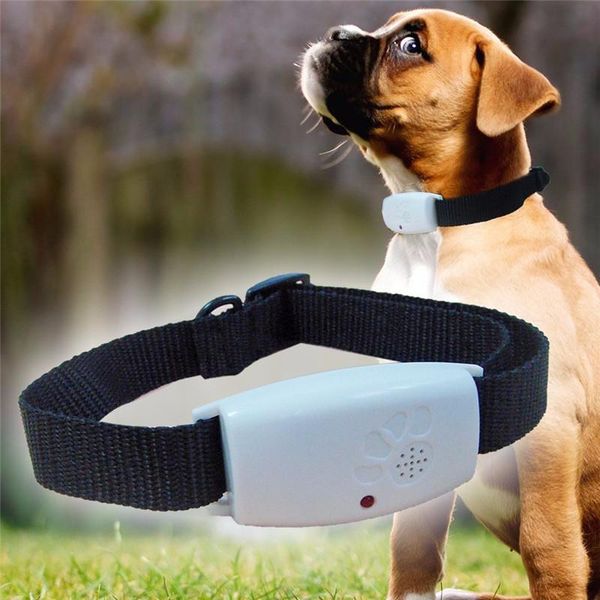 

dog collars & leashes cat ultrasonic repeller collar with led indicator repells flea ticks and mosquito pet supplies accessories
