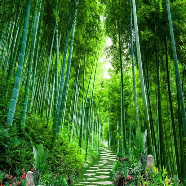 

wallpapers drop colomac wallpaper for bedroom walls bamboo silent flower path 3d mural papier peint home improvement