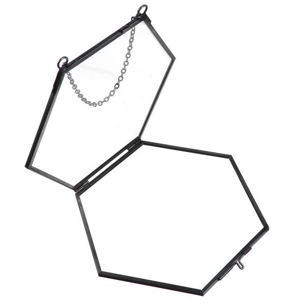 

frames 1pc hexagon specimen holder frame hanging po glass wall decor