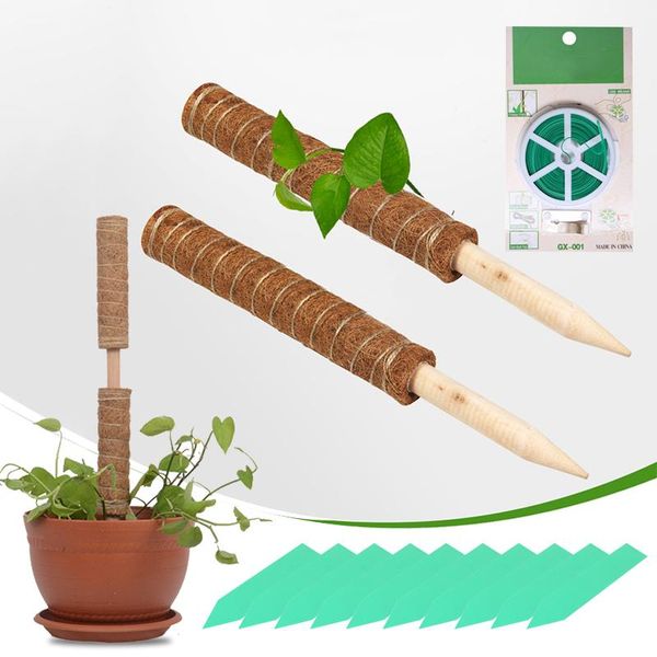 

other garden supplies plant climbing coir pole safe gardening coconut palm stick for support plants creepers and vines auxiliary tools