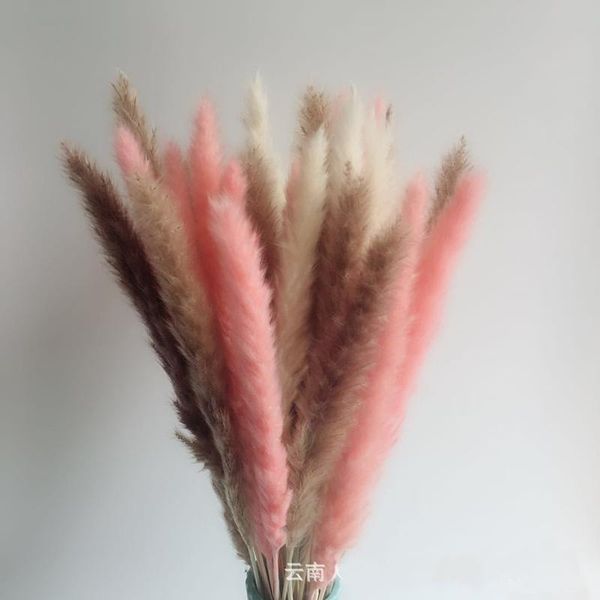 

decorative flowers & wreaths 15pcs 60cm nordic bulrush natural dried small pampas grass phragmites communis wedding party flower bunch for h