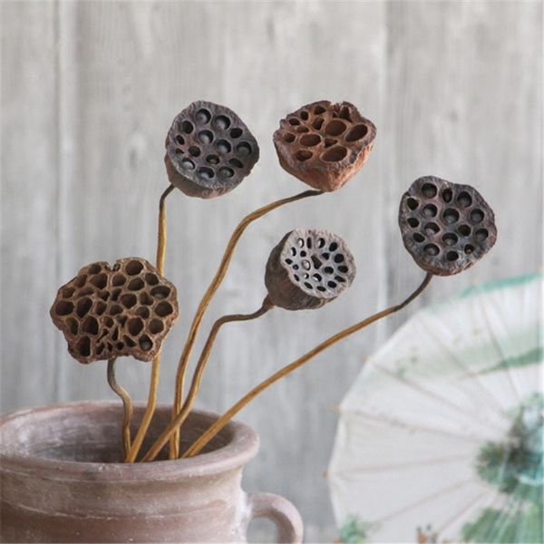 

5pcs dried bonsai decor seedpod of lotus real plants flowers with stems