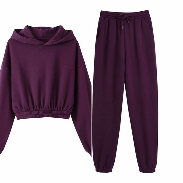 

women's two piece pants wool training pieces together sweatpants oversized solid color with hoodie suits winter casual clothes, White
