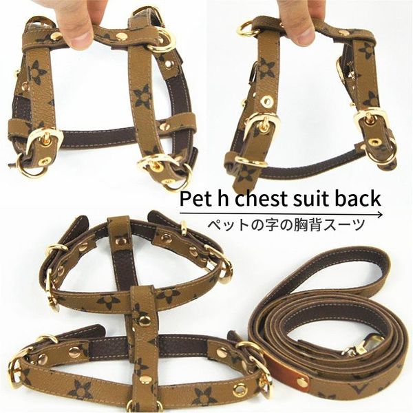 

hand holding rope presbyopic breast strap dog collar personalized harness pet accessories products for supplies collars & leashes