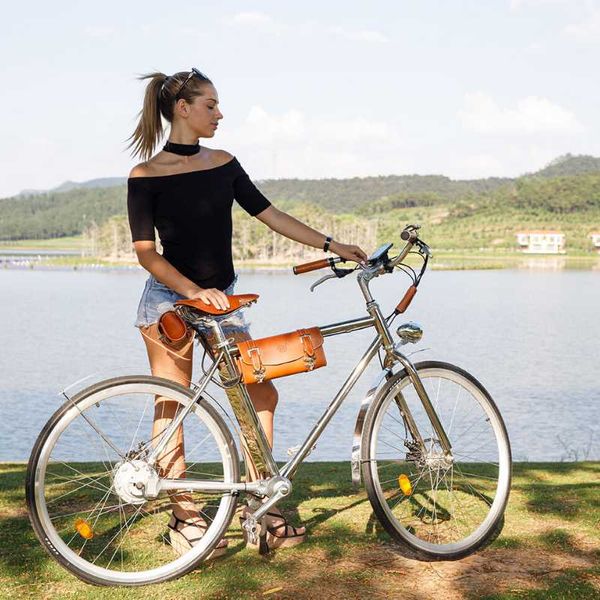 

electric bicycle bike 350w cruiser vintage city retro old school ebike, Silver;blue