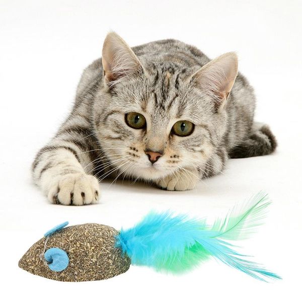 

cat toys non-toxic natural catnip with feather treatment ball favor home chasing pet safe healthy edible