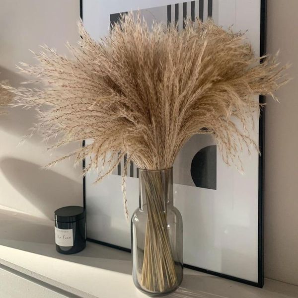 

decorative flowers & wreaths real dried small pampas grass wedding bunch natural plants home decor artificial phragmites flower ornamental