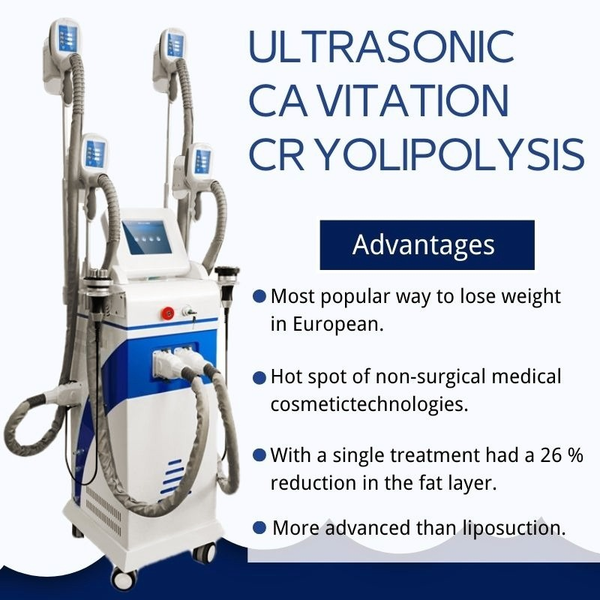 

popular fat ing cryolipolysis cold body sculpting e slimming machine