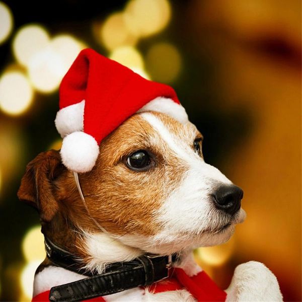 

dog apparel 2pcs pet christmas hat elastic band santa for party puppy kitten pets accessories