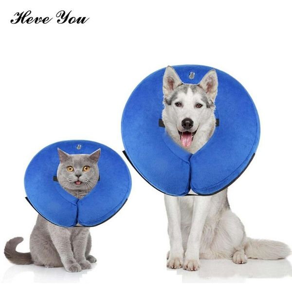 

heve you inflatable dog collar for soft recovery pet protective neck wound healing preventpuppy lick collars & leashes