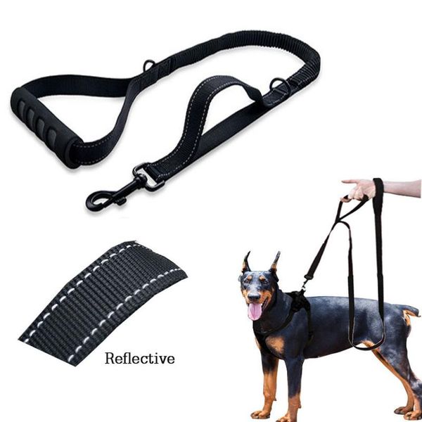 

dog collars & leashes pet leash with 2 control handles padded double handle for greater safety training protect accessori