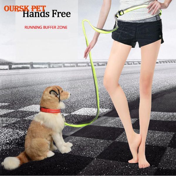 

dog collars & leashes pet cat running jogging padded waist belt reflective strip elastic leash perfect walking training set hands free