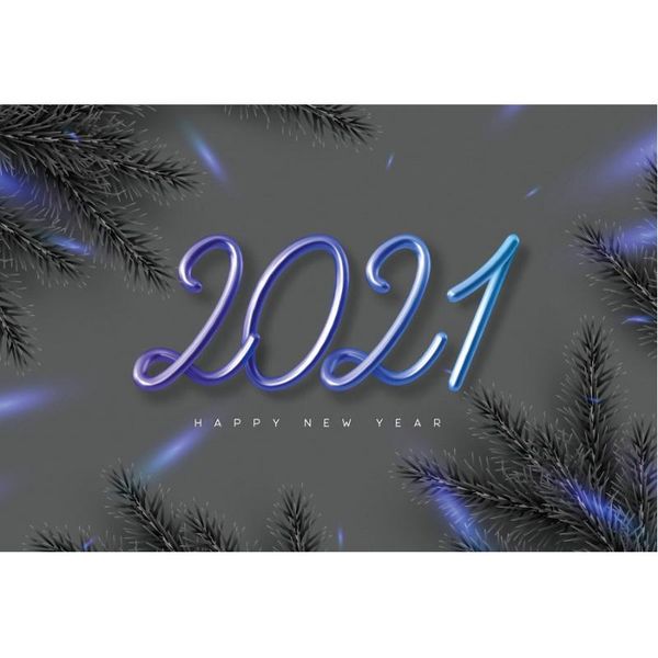 

party decoration happy year 2021 backdrop pine branches black pography background christmas po booth studio prop