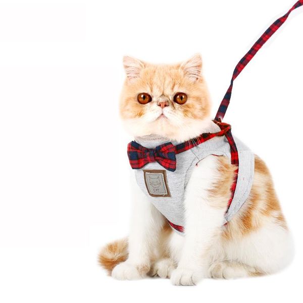 

cat collars & leads cats dog chain traction rope vest type harness products for pets pet escape chest strap