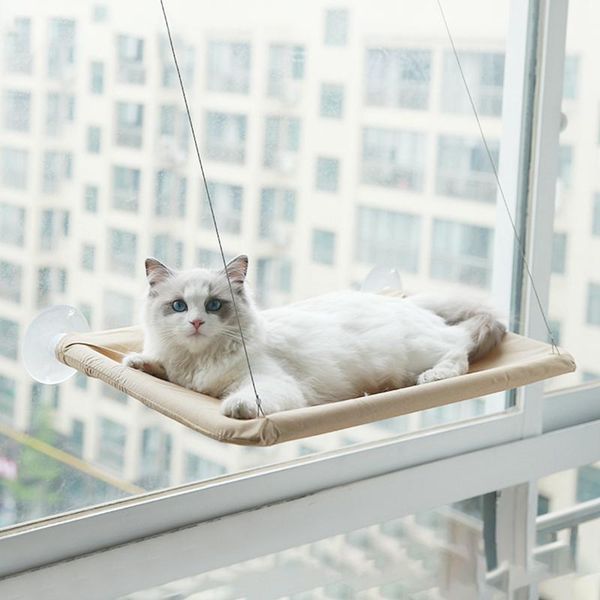 

cat hammock window bed and lounger sofa pet mounted seat home suction cup mat kitten mount beds & furniture