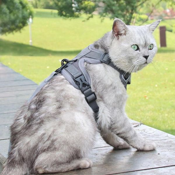 

dog collars & leashes user-friendly soft texture dogs cats chest strap traction leash kit for kitty