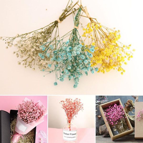 

decorative flowers & wreaths gypsophila dried romantic fresh flores artificial preserved wedding bouquet party gift home decoration