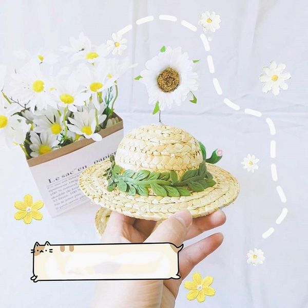 

cat costumes pet dog accessories sun hat cute daisy straw birthday gift clothes