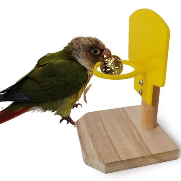 

other bird supplies parrot cage toy game mini basketball stand basket shooting budgie macaw play gym toys for intelligence training