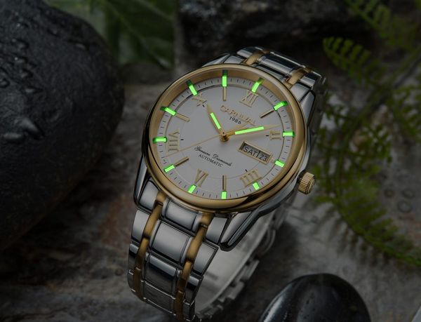

wristwatches carnival tritium watch t25 luminous japan miyota automatic mechanical men watches waterproof sapphire clock, Slivery;brown