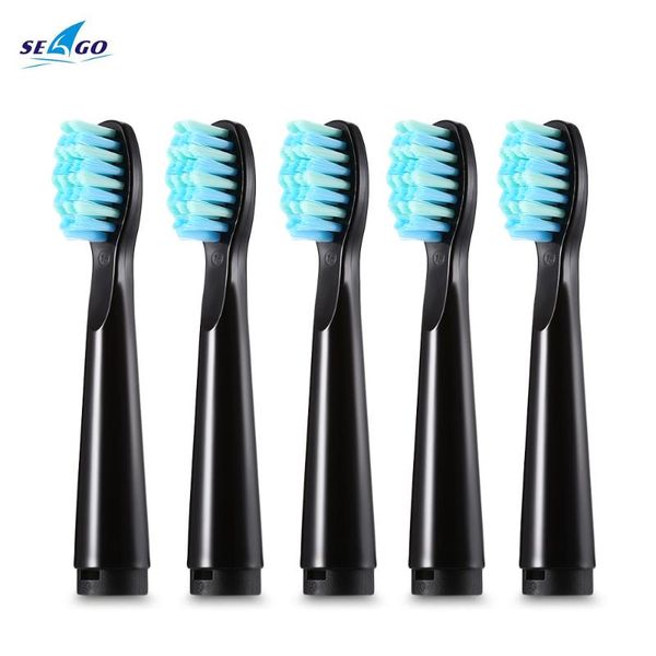 

toothbrush 5pcs seago electric head creative replacement for sg-503 sg-507 sg-949