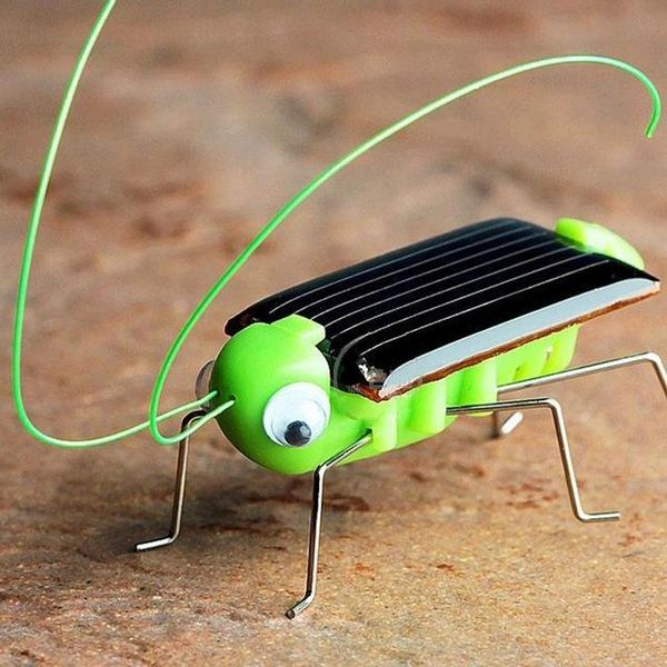 Lustiges Insekten-Solar-Grasshopper-Cricket-Lernspielzeug, Geburtstagsgeschenk, Solarenergie-Spielzeug