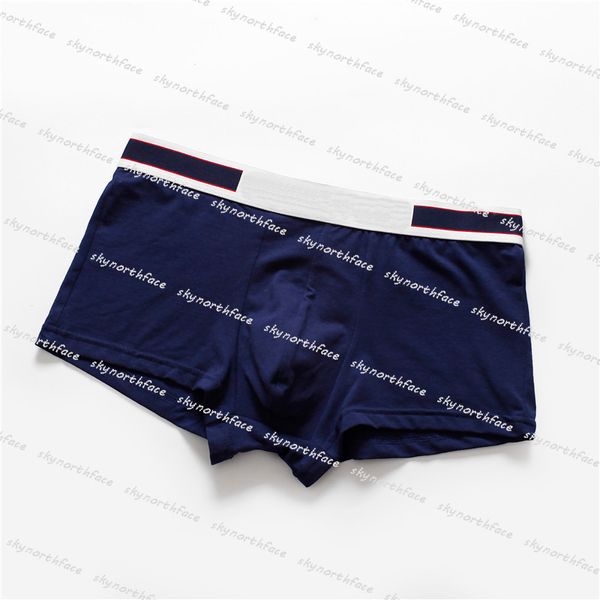 Fashion Luxurys Designers Intimo uomo Boxer Ragazzo Pantaloncini casual Intimo donna Mutande traspiranti Uomo Boxer Slip Underpant NICE