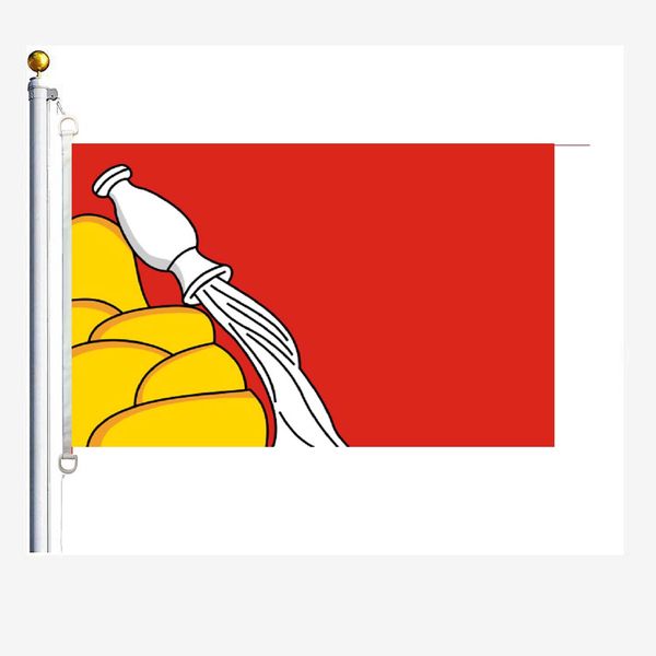 

voronezh oblast flags 90 x 150 cm, 100 % polyester, digitaldruck