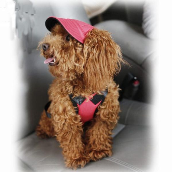 

dog apparel color canvas hat safety portable pet convenient multifunction baseball durability outdoor accessories