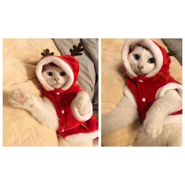 

dog apparel christmas clothes small dogs santa costume for pug chihuahua yorkshire pet cat clothing jacket coat pets