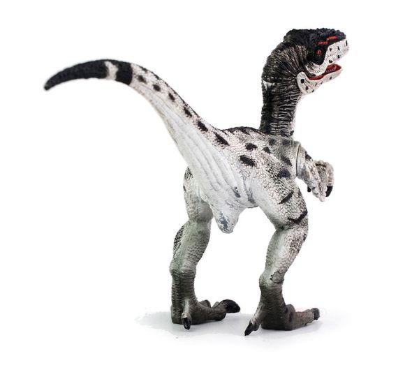 

Jurassic Velociraptor Dinosaur Action&Toy Figures Animal Model Collection Learning&Educational Kids Birthday Boy Gift
